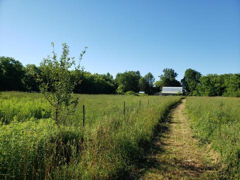 5959 E Hansen Rd, Custer, MI 49405 photo 26
