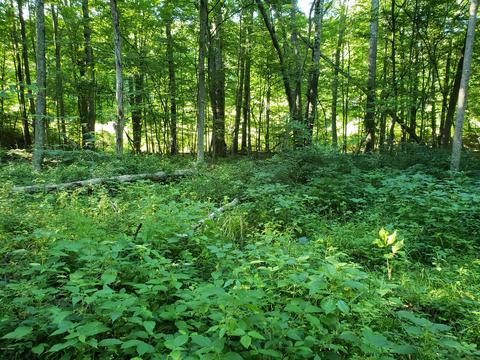 5959 E Hansen Rd, Custer, MI 49405 photo 33