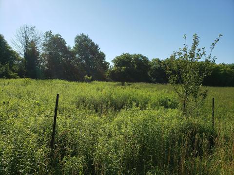 5959 E Hansen Rd, Custer, MI 49405 photo 25
