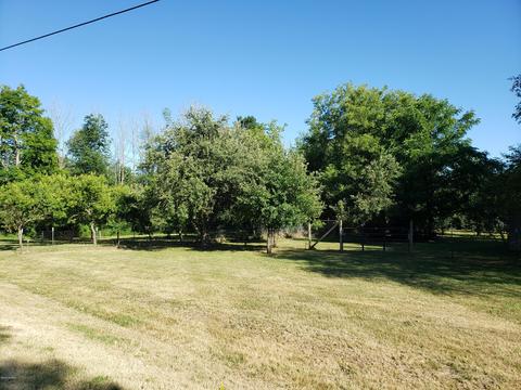 5959 E Hansen Rd, Custer, MI 49405 photo 3