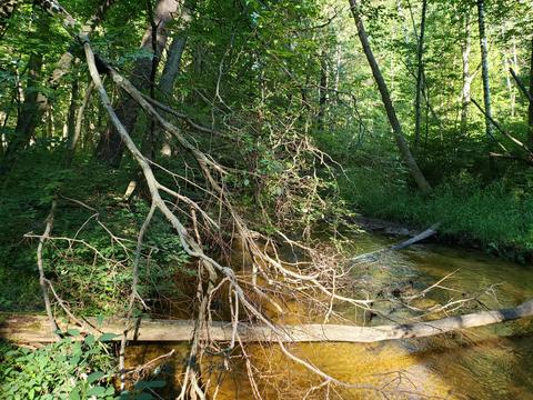 5959 E Hansen Rd, Custer, MI 49405 photo 32