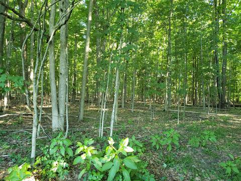 5959 E Hansen Rd, Custer, MI 49405 photo 27