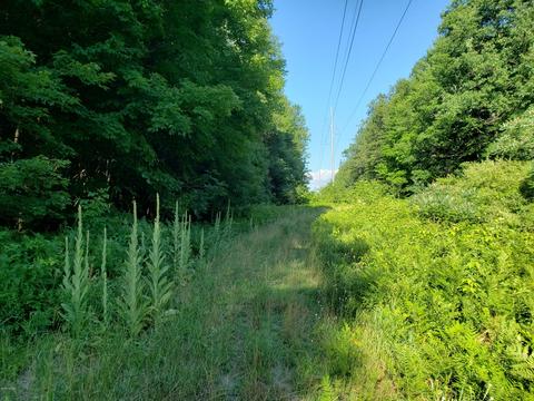 5959 E Hansen Rd, Custer, MI 49405 photo 28