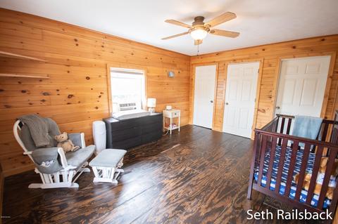 610 Millard St, Belding, MI 48809 photo 33