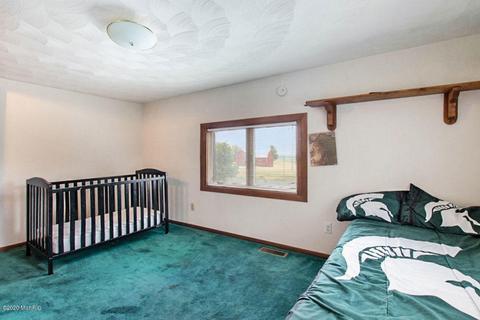 1433 E Tuttle Rd, Ionia, MI 48846 photo 19