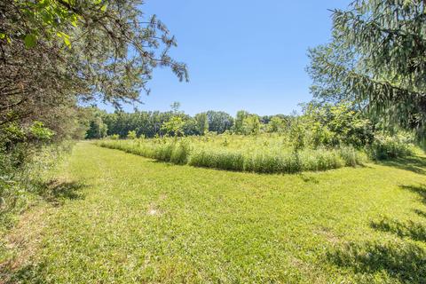 4925 Ashley Ave NE, Belding, MI 48809 photo 51