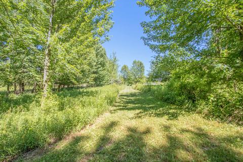 4925 Ashley Ave NE, Belding, MI 48809 photo 55