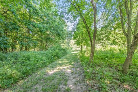 4925 Ashley Ave NE, Belding, MI 48809 photo 54