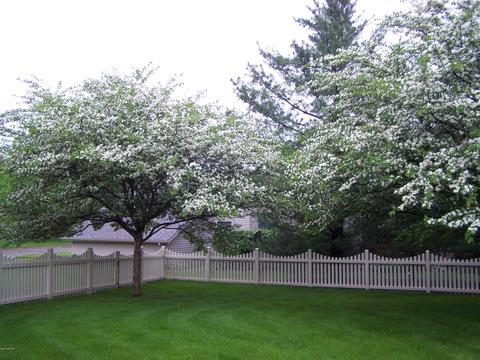 1102 Deerfield Ln, Marshall, MI 49068 photo 35