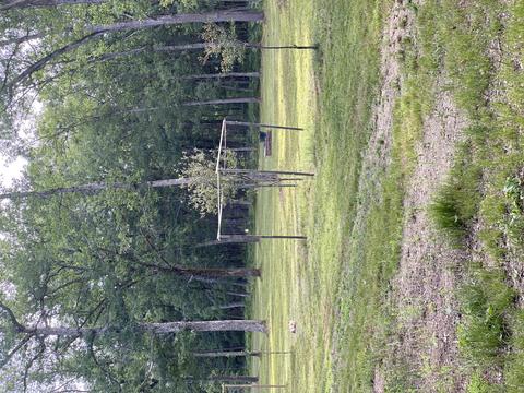 4298 W 8th St, Baldwin, MI 49304 photo 31