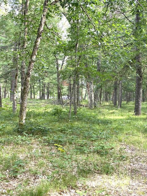 4298 W 8th St, Baldwin, MI 49304 photo 3