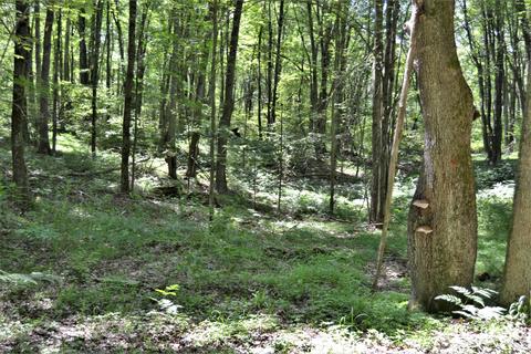 5245 N Evergreen Dr, White Cloud, MI 49349 photo 30