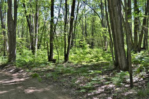 5245 N Evergreen Dr, White Cloud, MI 49349 photo 32