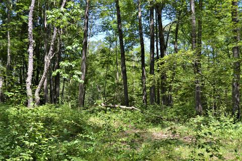 5245 N Evergreen Dr, White Cloud, MI 49349 photo 38