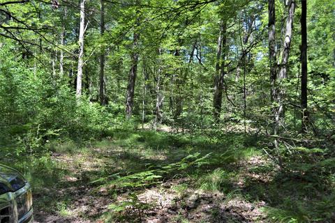 5245 N Evergreen Dr, White Cloud, MI 49349 photo 33