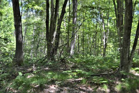 5245 N Evergreen Dr, White Cloud, MI 49349 photo 34