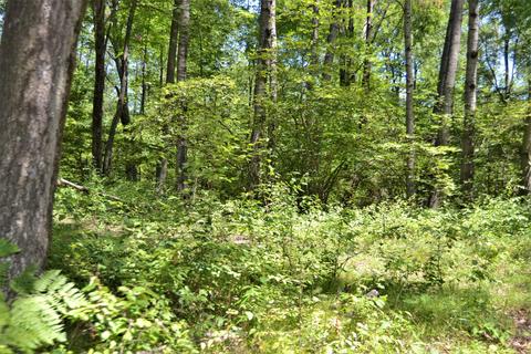 5245 N Evergreen Dr, White Cloud, MI 49349 photo 37