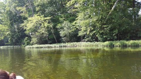 26840 M-60, Mendon, MI 49072 photo 13