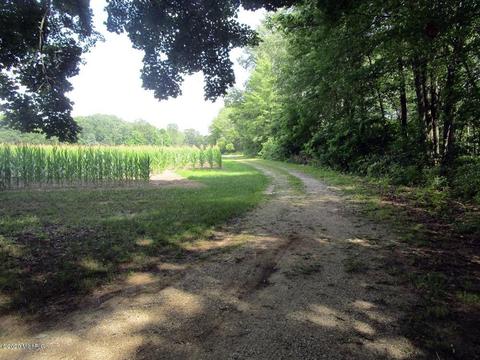 1751 Eckert Dr, Morley, MI 49336 photo 22