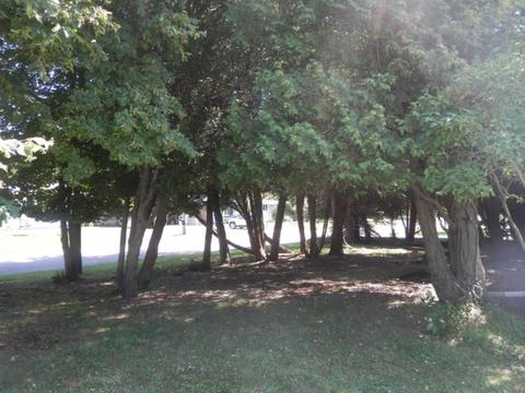 529 Eighth St, Manistee, MI 49660 photo 34