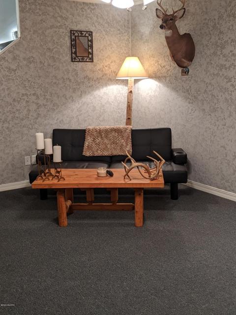 10043 Graham Rd, Plainwell, MI 49080 photo 31