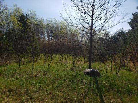 120 Th Ave, Rodney, MI 49342 photo 7