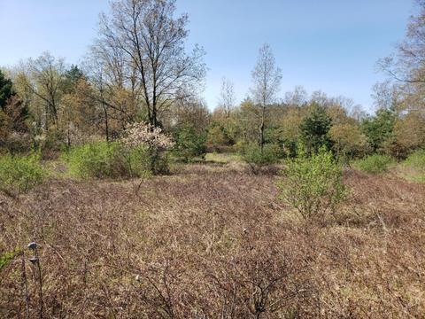120 Th Ave, Rodney, MI 49342 photo 8