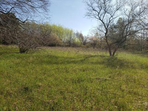 120 Th Ave, Rodney, MI 49342 photo 5