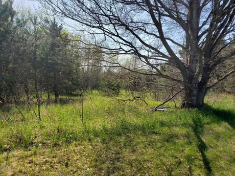 120 Th Ave, Rodney, MI 49342 photo 4