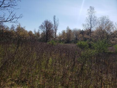 120 Th Ave, Rodney, MI 49342 photo 3