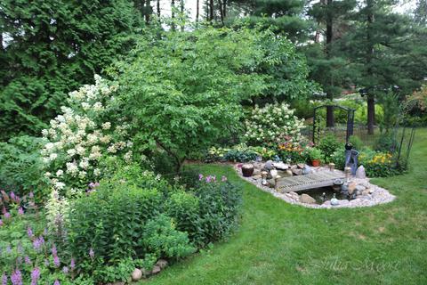 6090 Green Rd, Haslett, MI 48840 photo 39