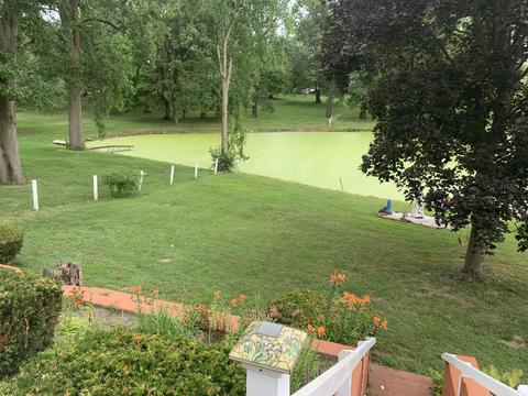 511 Abbott St, Colon, MI 49040 photo 30