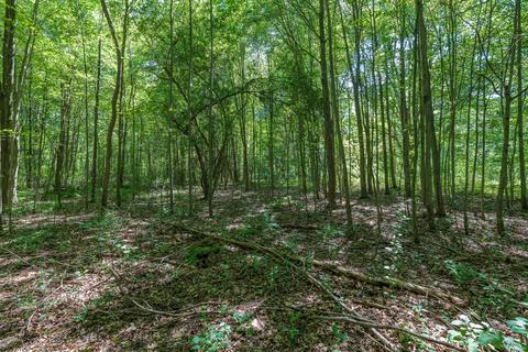 2553 W Baseline Rd, Plainwell, MI 49080 photo 34