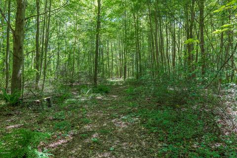 2553 W Baseline Rd, Plainwell, MI 49080 photo 35