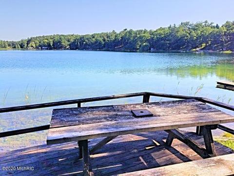 6196 S Hamlin Cir, Baldwin, MI 49304 photo 22