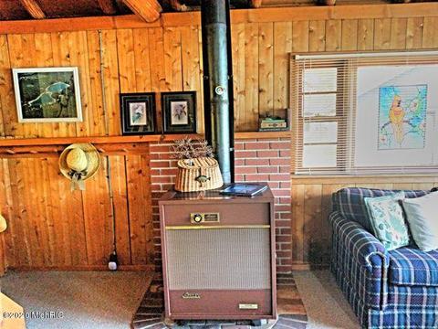 6196 S Hamlin Cir, Baldwin, MI 49304 photo 19