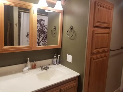 426 Franklin St, Bronson, MI 49028 photo 30