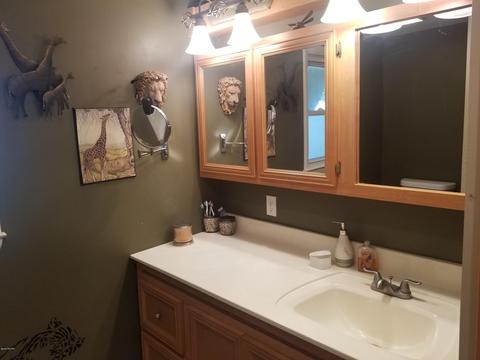 426 Franklin St, Bronson, MI 49028 photo 27