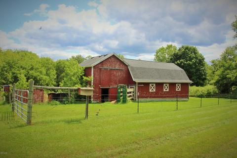 10119 Jones Rd, Bellevue, MI 49021 photo 45