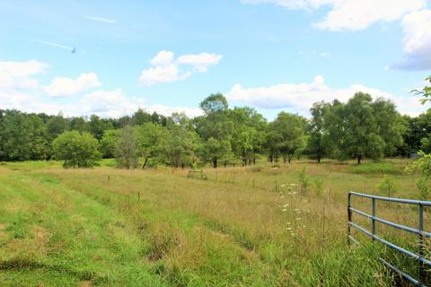 10119 Jones Rd, Bellevue, MI 49021 photo 52