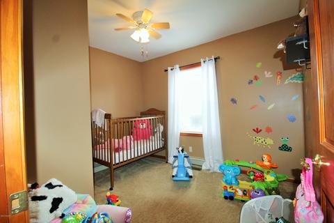 10119 Jones Rd, Bellevue, MI 49021 photo 29