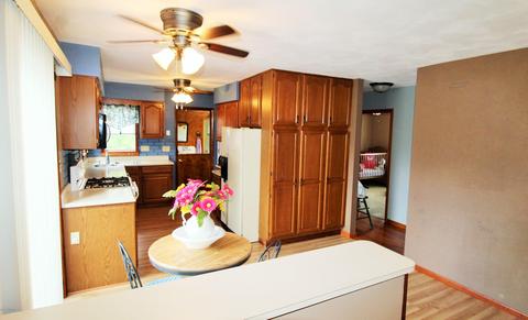 10119 Jones Rd, Bellevue, MI 49021 photo 15