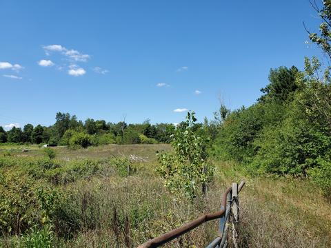 14022 Harder Rd, Three Rivers, MI 49093 photo 23