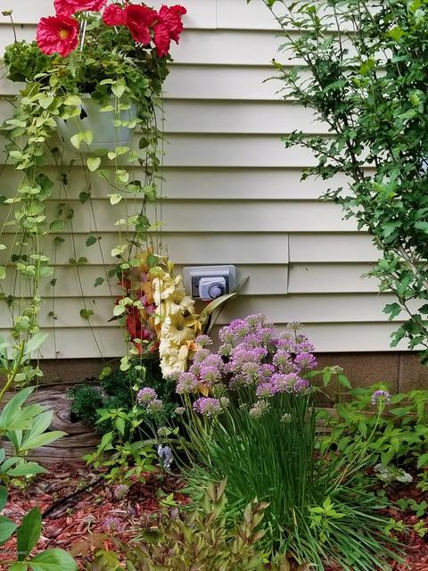 6203 E 52nd St, Newaygo, MI 49337 photo 35