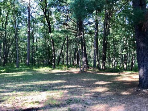 4744 E Hawley Rd, Custer, MI 49405 photo 21
