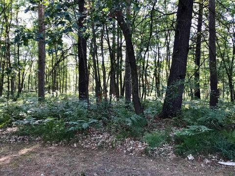 4744 E Hawley Rd, Custer, MI 49405 photo 22