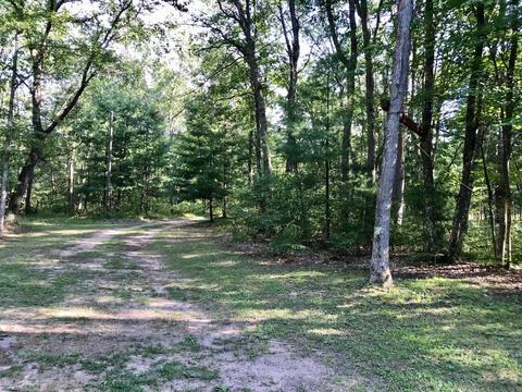 4744 E Hawley Rd, Custer, MI 49405 photo 24