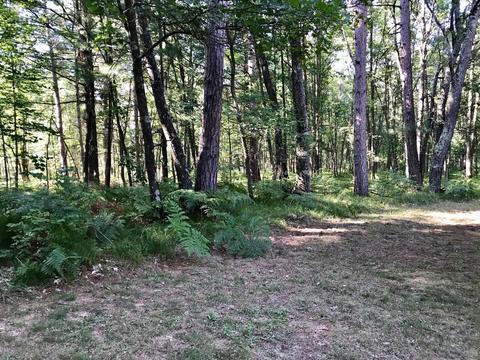 4744 E Hawley Rd, Custer, MI 49405 photo 23