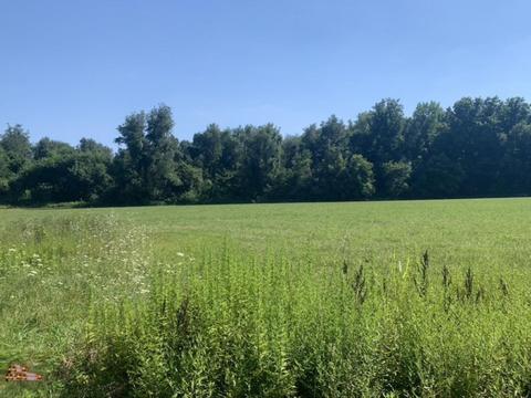 3910 Buffalo Rd, Buchanan, MI 49107 photo 12