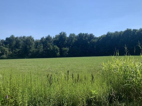 3910 Buffalo Rd, Buchanan, MI 49107 photo 11